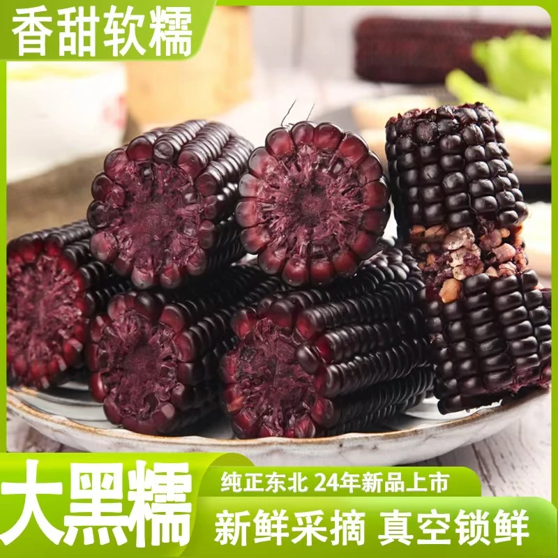 东北黑糯玉米24年头茬黑玉米Y精选软糯