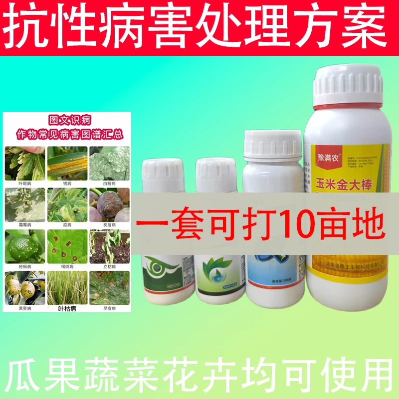 【Y四合一】玉米青虫红白蜘蛛白粉病叶斑病根腐病通用杀虫剂