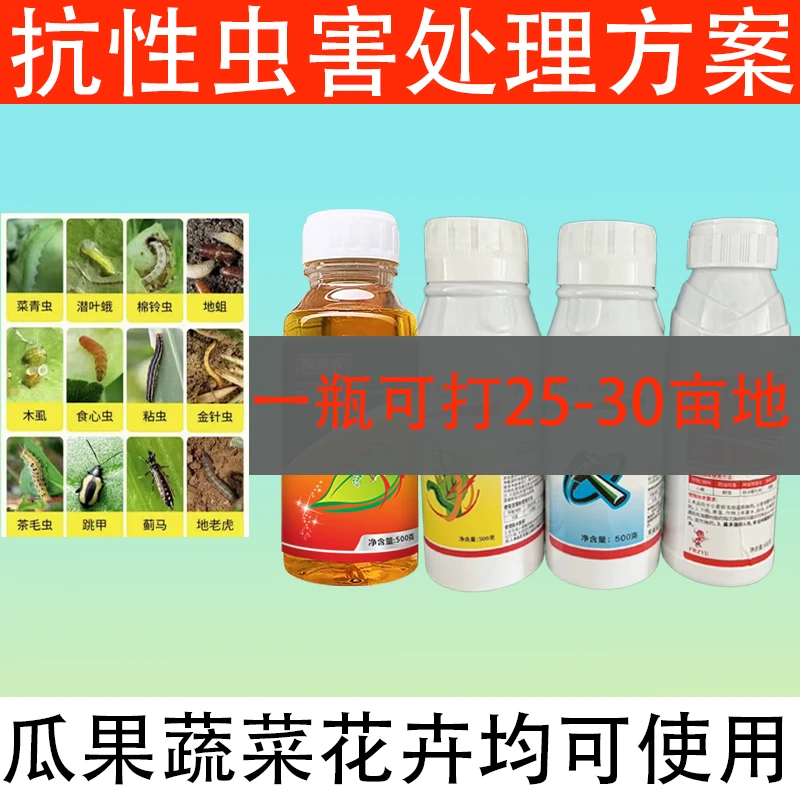 【GL四合一】正品玉米水稻花生瓜果蔬菜青虫红白蜘蛛蓟马通用杀虫剂