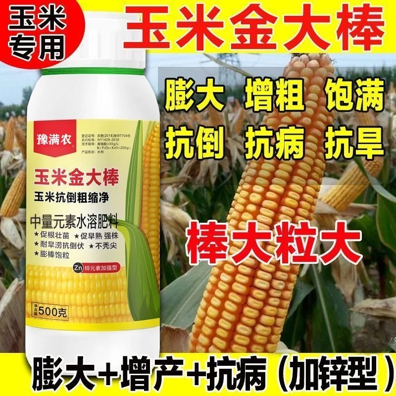 【玉米一号金大棒】早熟强株棒大粒大膨大增产增收茎秆粗壮水溶肥