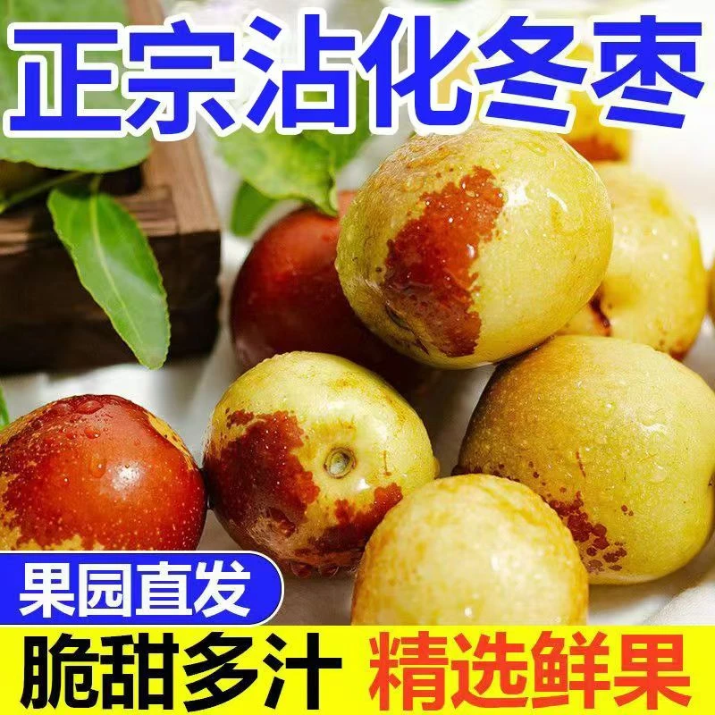 现摘现发正宗沾化冬枣3斤装新鲜应季水果脆甜鲜枣脆枣整箱批发