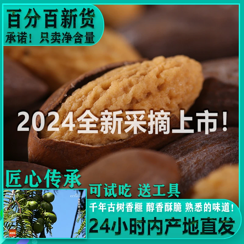 【稽山峰】香榧2024新货新鲜正宗老树香榧袋装250g嵊州特产香榧坚果