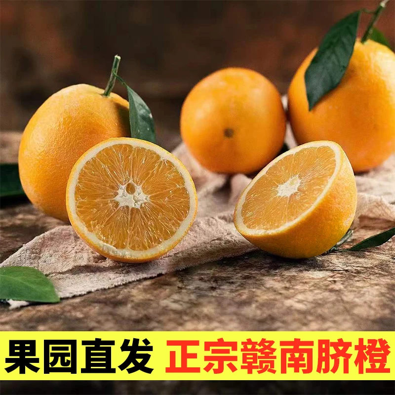 正宗赣南脐橙新鲜采摘水果5斤10斤20斤装水果自家果园圆通快递