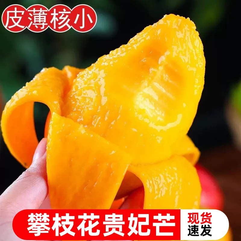 攀枝花树上熟贵妃芒精选优质鲜果现摘现发5/8斤包邮