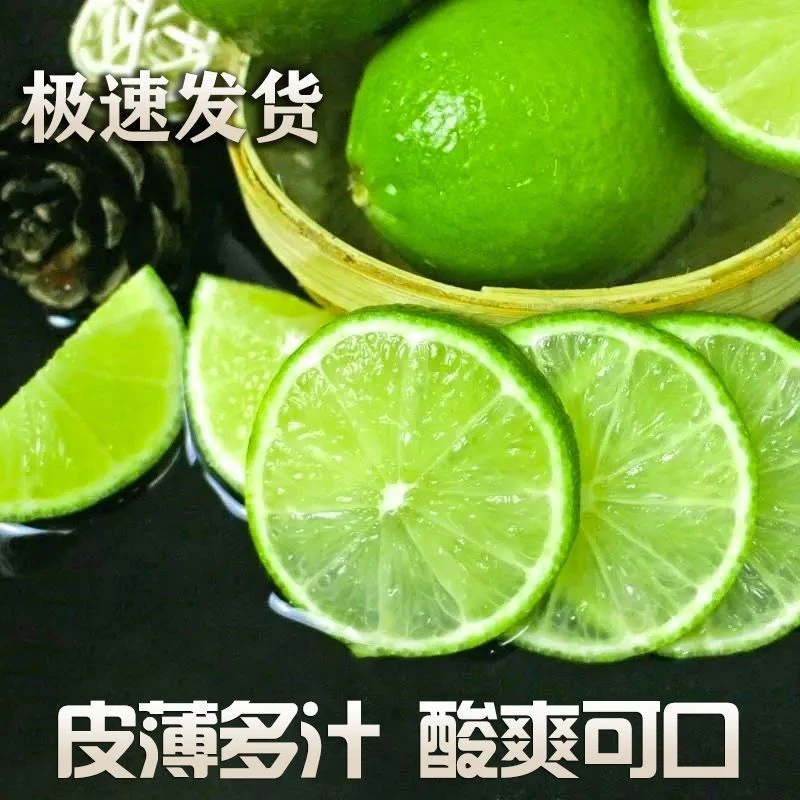 [薄皮多汁】新鲜泰国品种塔西提无籽青柠檬奶茶店泡水凉拌菜鲜果