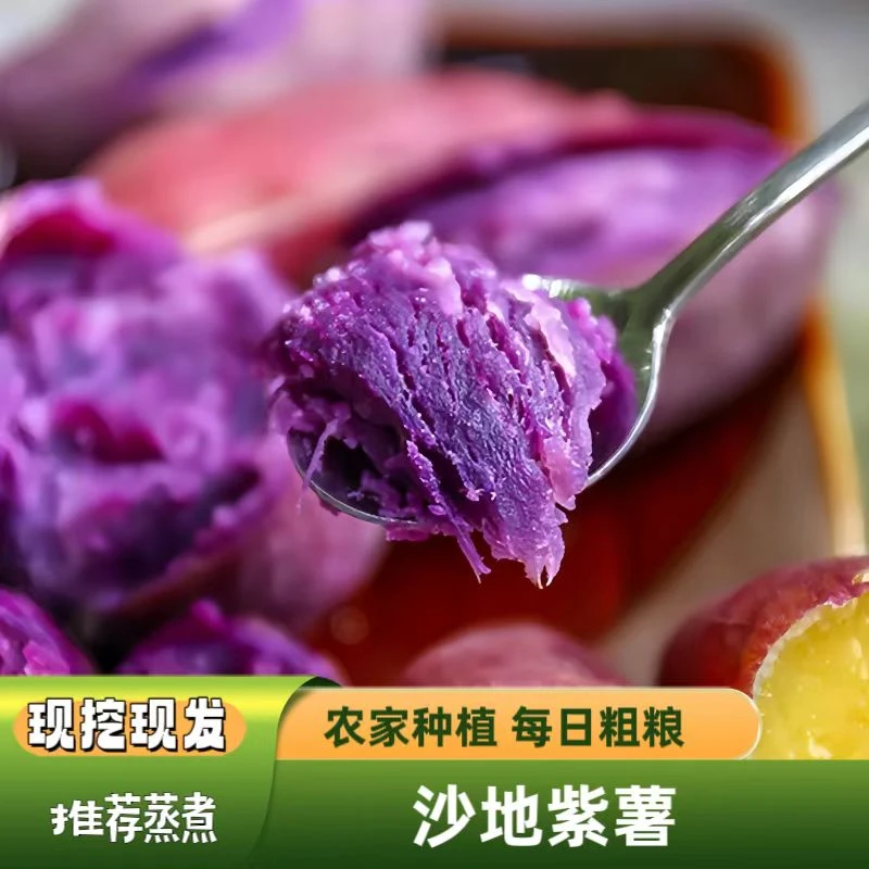 沙地新鲜紫薯 蒸熟软糯 花青素膳食纤维代餐粗粮紫色食用新鲜紫薯
