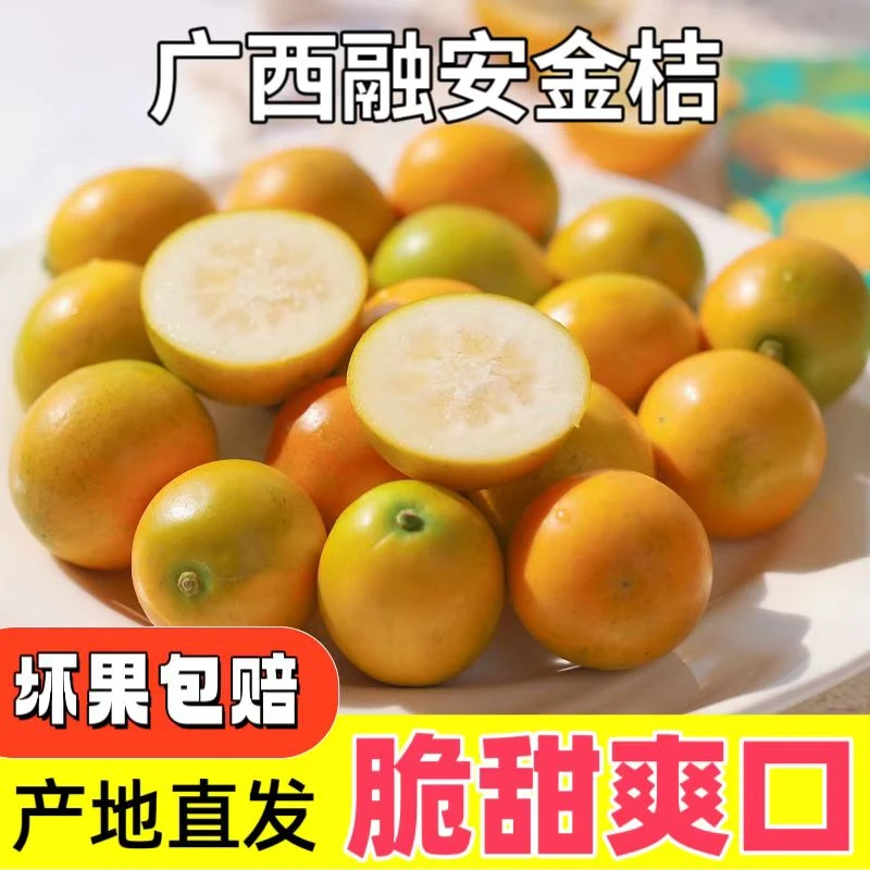 [现摘现发]广西融安金桔 清甜脆口