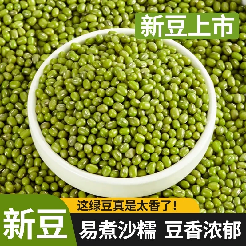 营养绿豆东北农家新绿豆食用绿豆粥绿豆汤笨绿豆发芽新鲜消暑饱满
