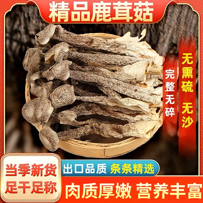 【高山鹿茸菇】干货肥厚炒菜炖煲鸡汤鲜美炒肉营养美味炖汤鲜香无硫