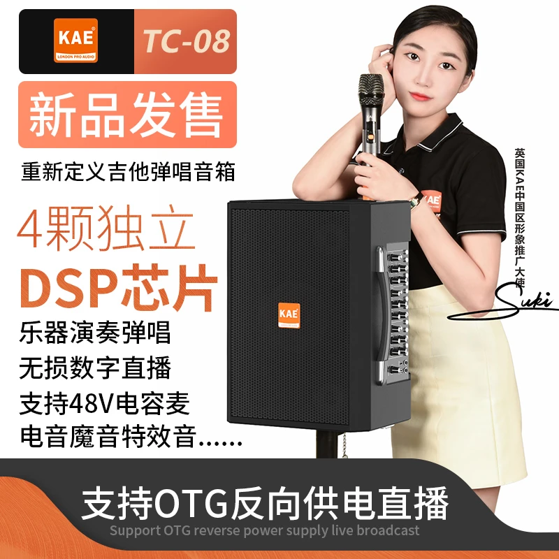 KAE【TC-08】进口专业户外直播弹唱音响