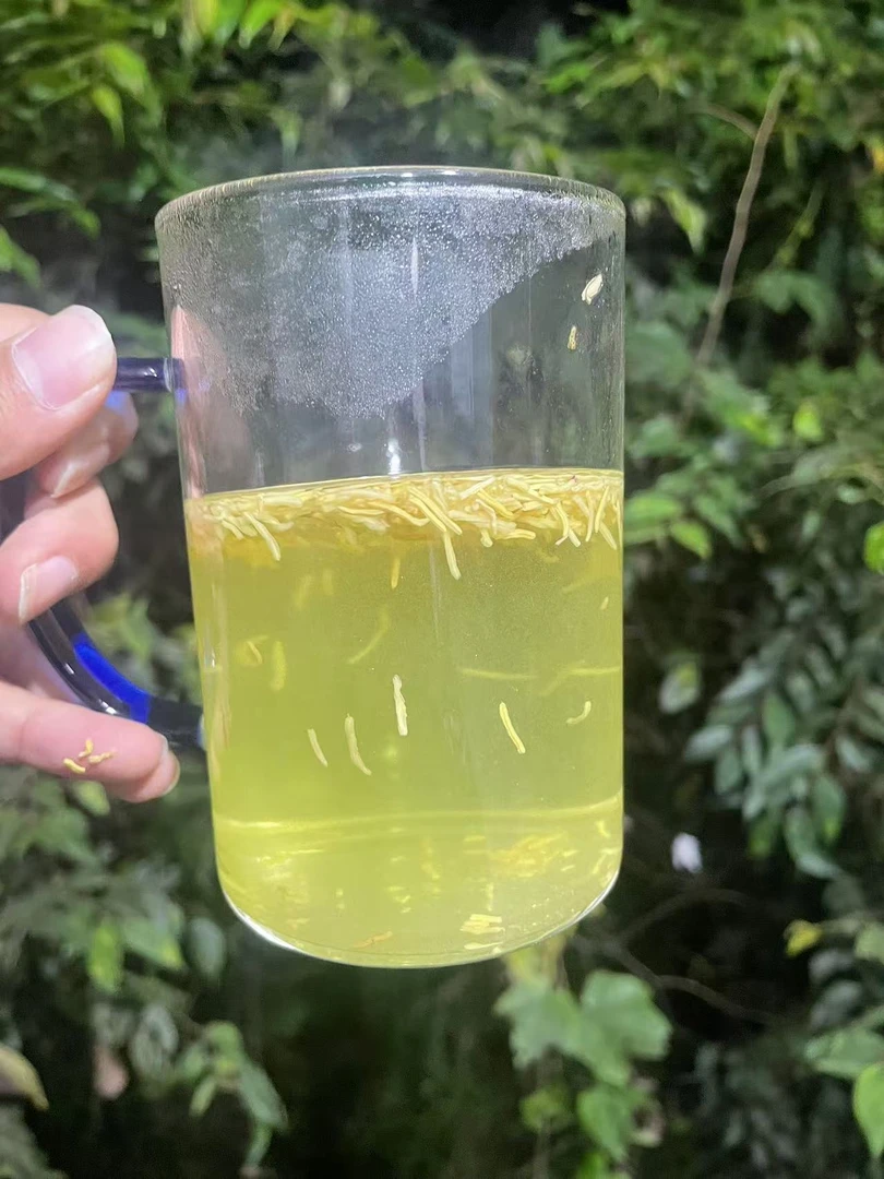 2【黄-金-蕊】净含量50g-200g【小八现收】菌