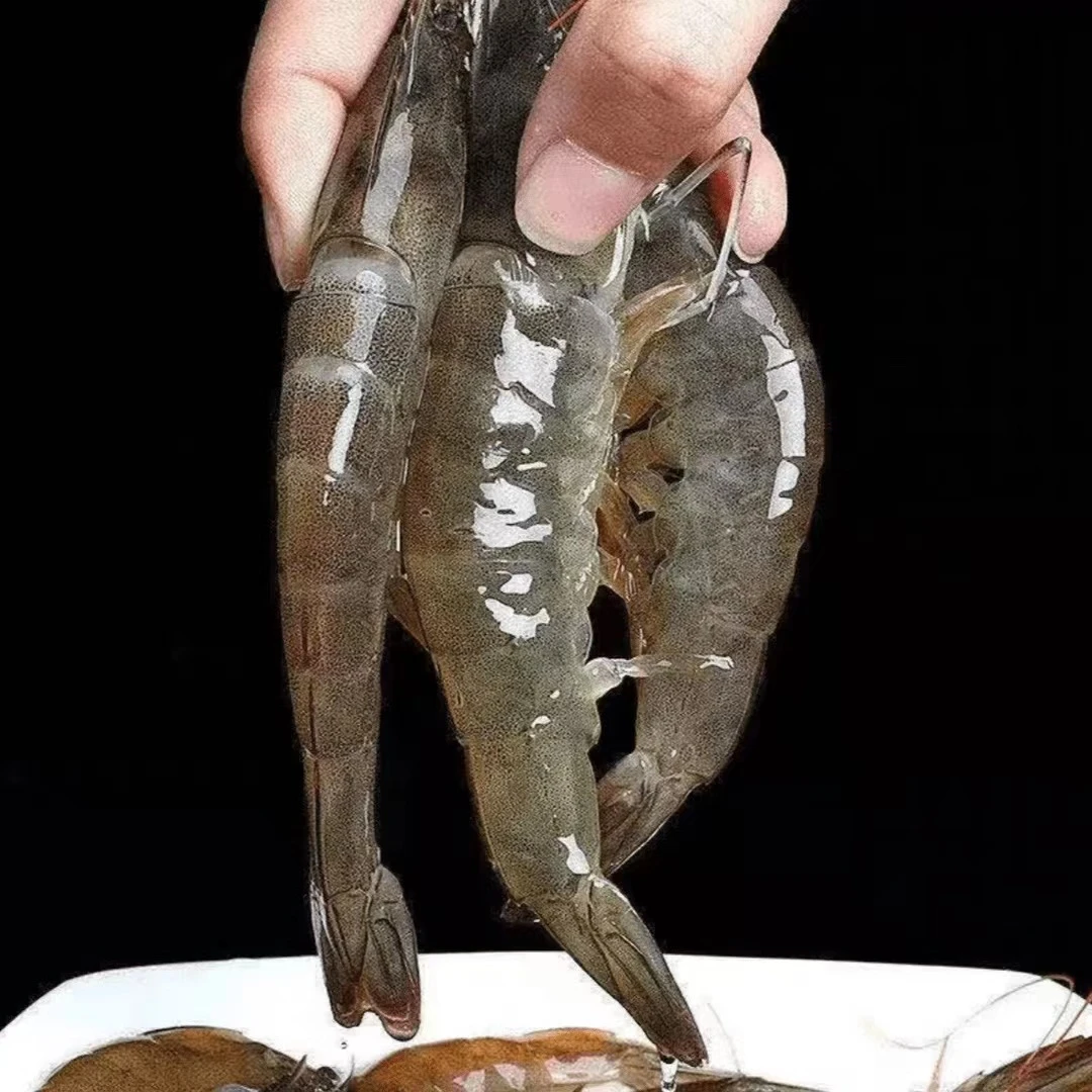 【2030海虾】活虾速冻锁鲜盐冻4斤40-55只 10-15只/斤