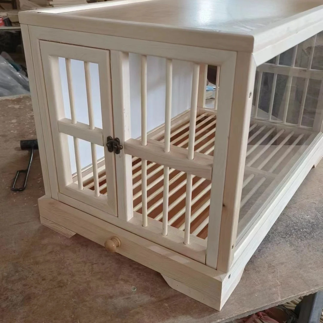 贵州信鸽赛鸽幼鸽高位成绩鸽