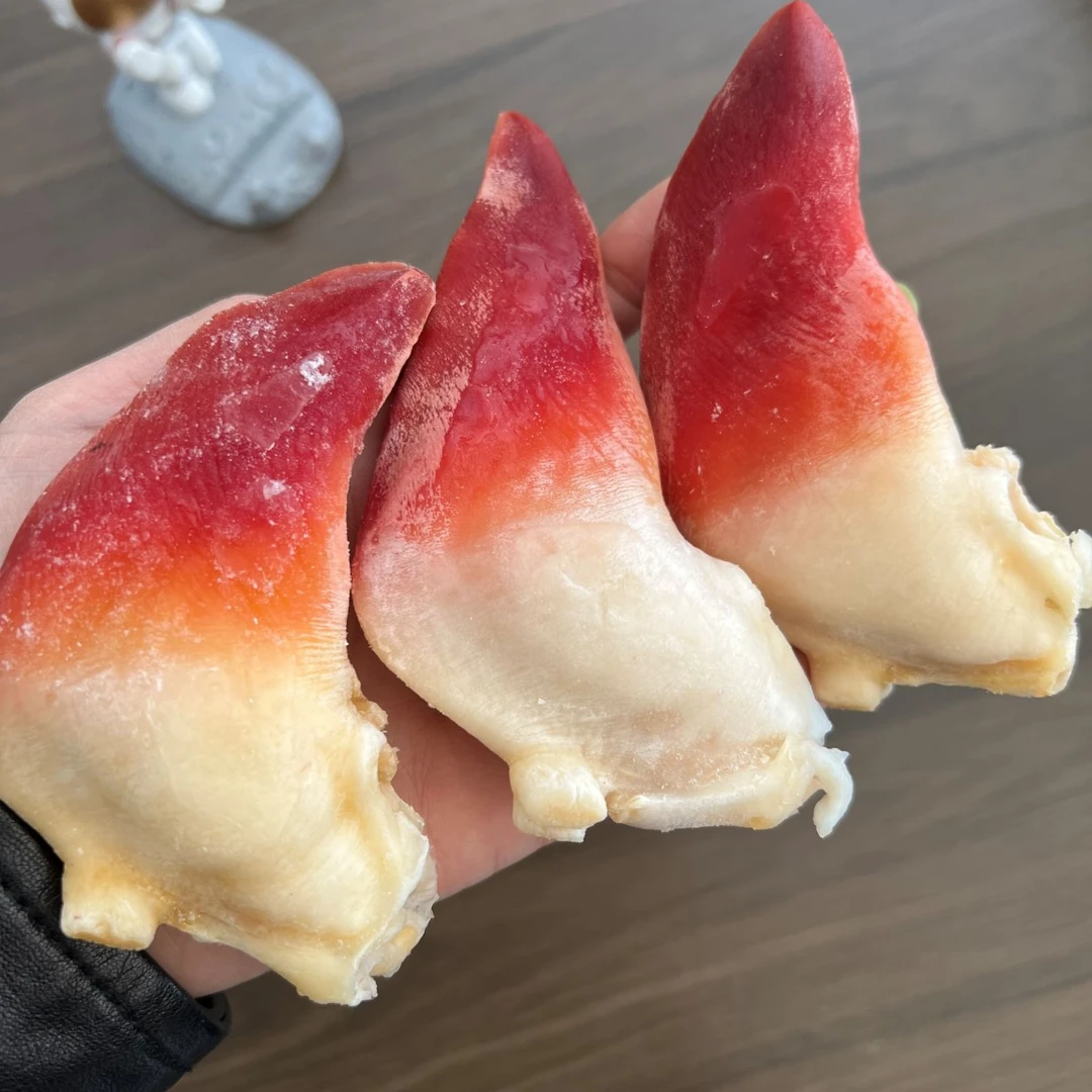 【直播专属】4袋超大马贝(马贝刺身)230g/袋（冷冻保存）