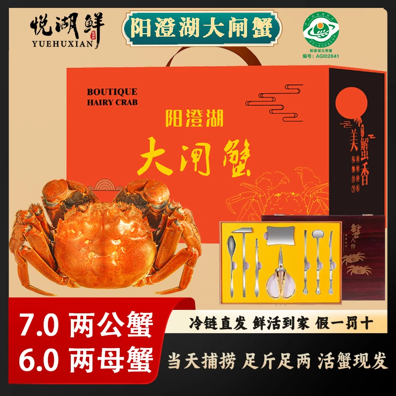 苏州阳澄湖大闸蟹塘蟹公7.0两 母6.0两 4/6/8/10只礼盒包装