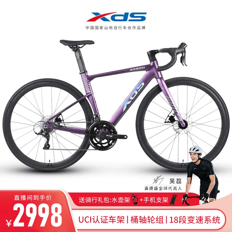 XDS/喜德盛AD300运动破风架减震四培林喜德盛ad300单车自行车上班