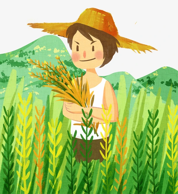 B【顺丰包邮】 色泽碧绿 味道青新 400克/包饱满