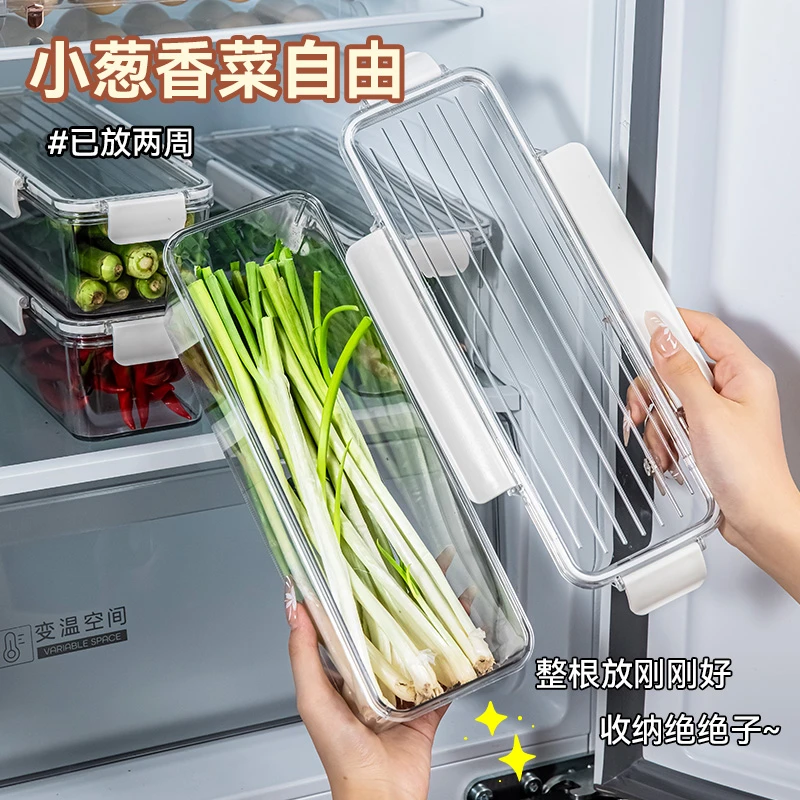 香菜大葱小葱保鲜盒食品级冰箱长方形葱姜蒜整理收纳盒鸡蛋面条盒
