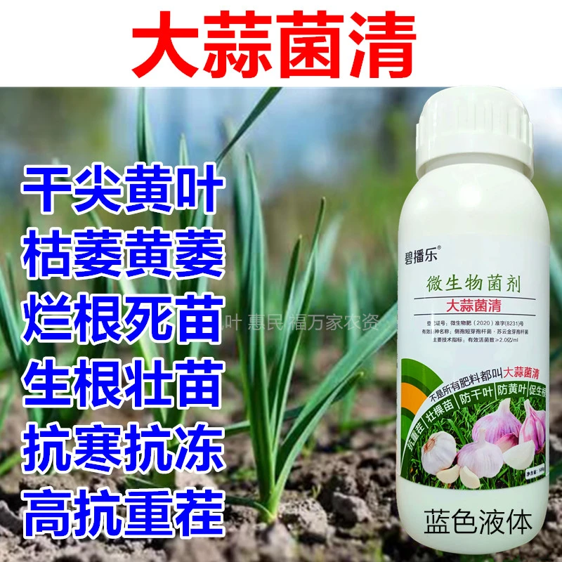 蒜菌清原装正品大蒜专用杀菌原液大蒜种植微生物生根养根粗壮水溶