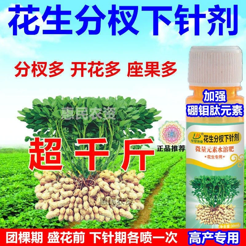 增产花生下针剂粒粒饱花生高产开花多下针多粒粒饱满抗病增产
