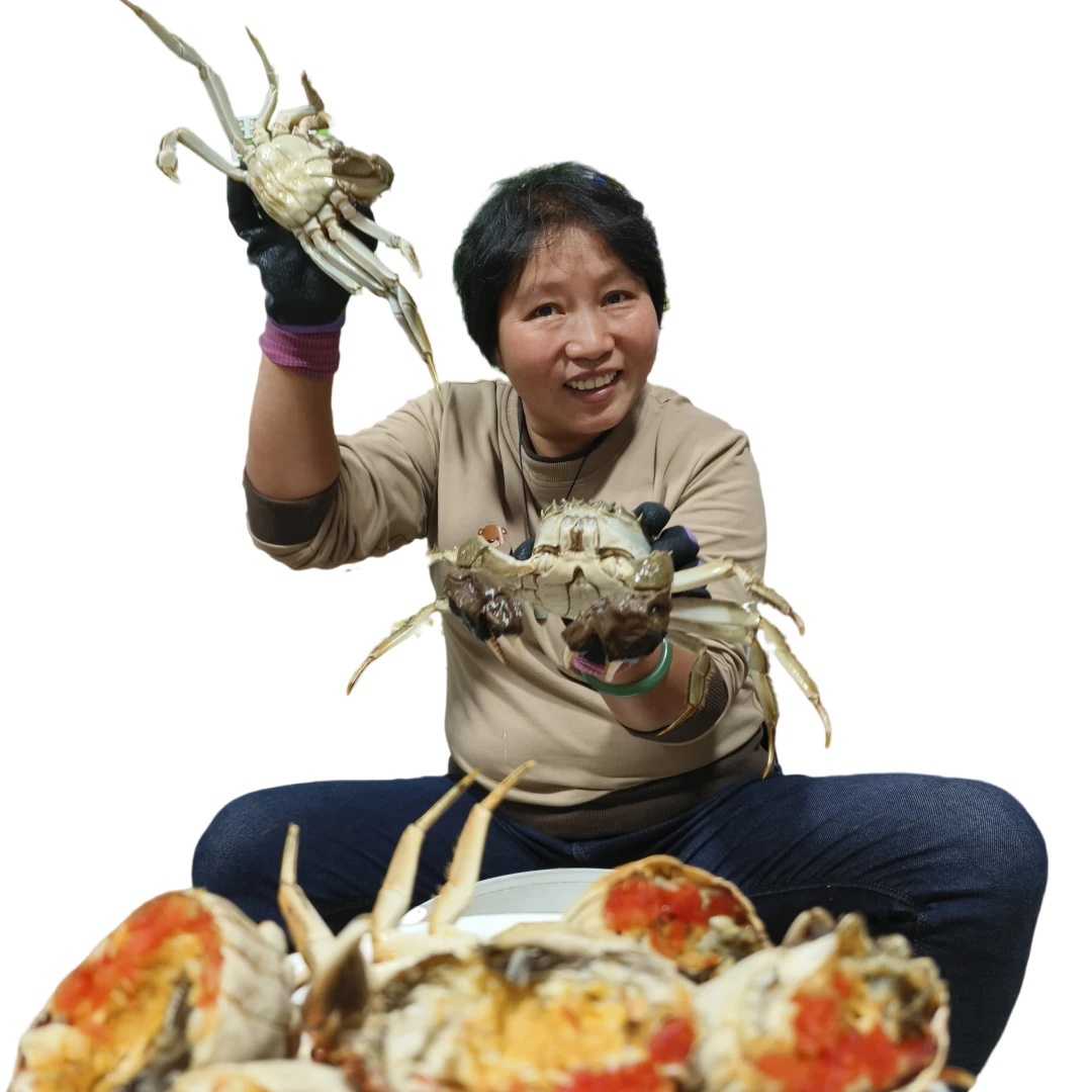 活蟹固城湖大闸蟹公蟹3-3.3两母蟹2-2.3两11/10只3斤装【自家吃款】