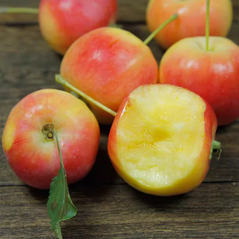 东北海棠果 酸甜脆口 老品种老味道 三斤包邮顺丰