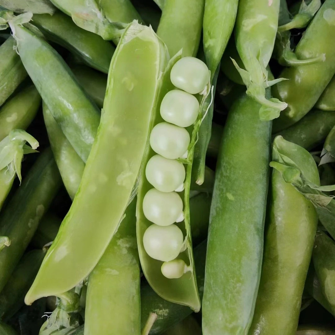 东北新鲜豆角豌豆角二斤包邮顺丰