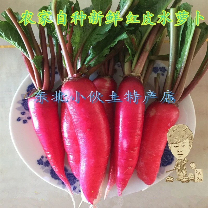 水萝卜新鲜蔬菜小伙东北特产小萝卜农家肥红皮白心1000克顺丰包邮