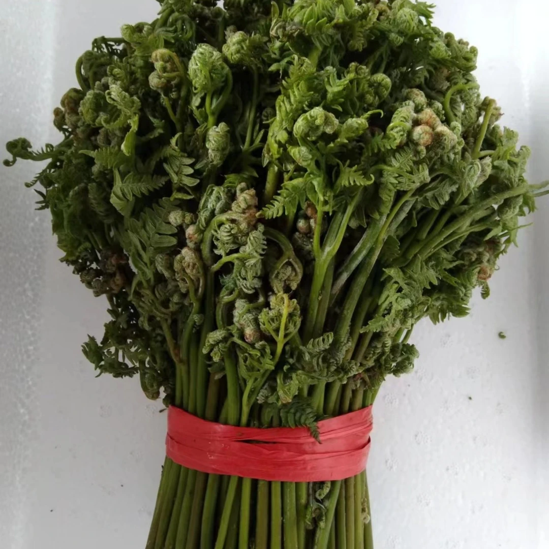 东北山野菜新鲜蕨菜 野生山野菜500克包邮顺丰