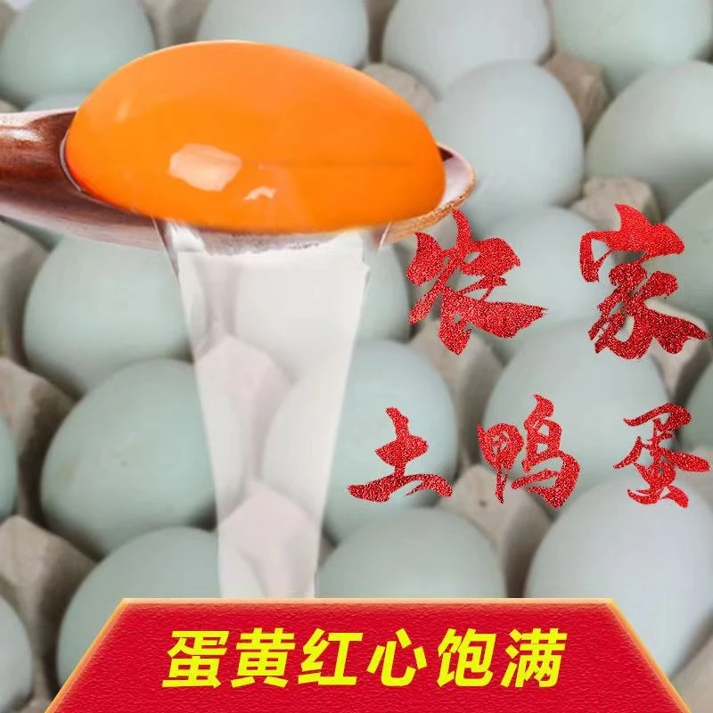 东北小伙散养土鸭蛋生鸭蛋新鲜鸭蛋1000克包邮顺丰