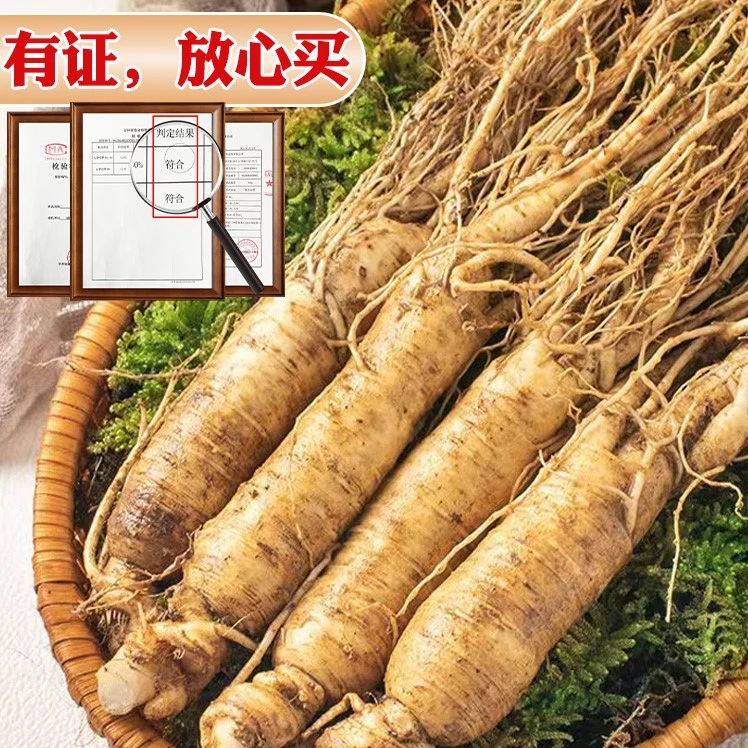 【航空运输-福利】正宗鲜人参长白山参东北人参泡酒专用营养滋补