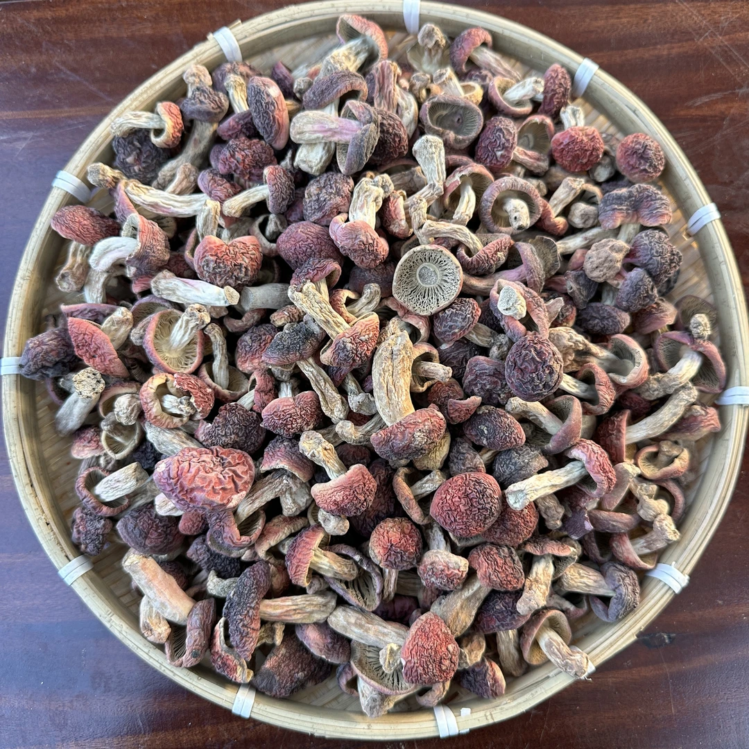 云南现收山货 农家特产 红菇 250克起-- AA