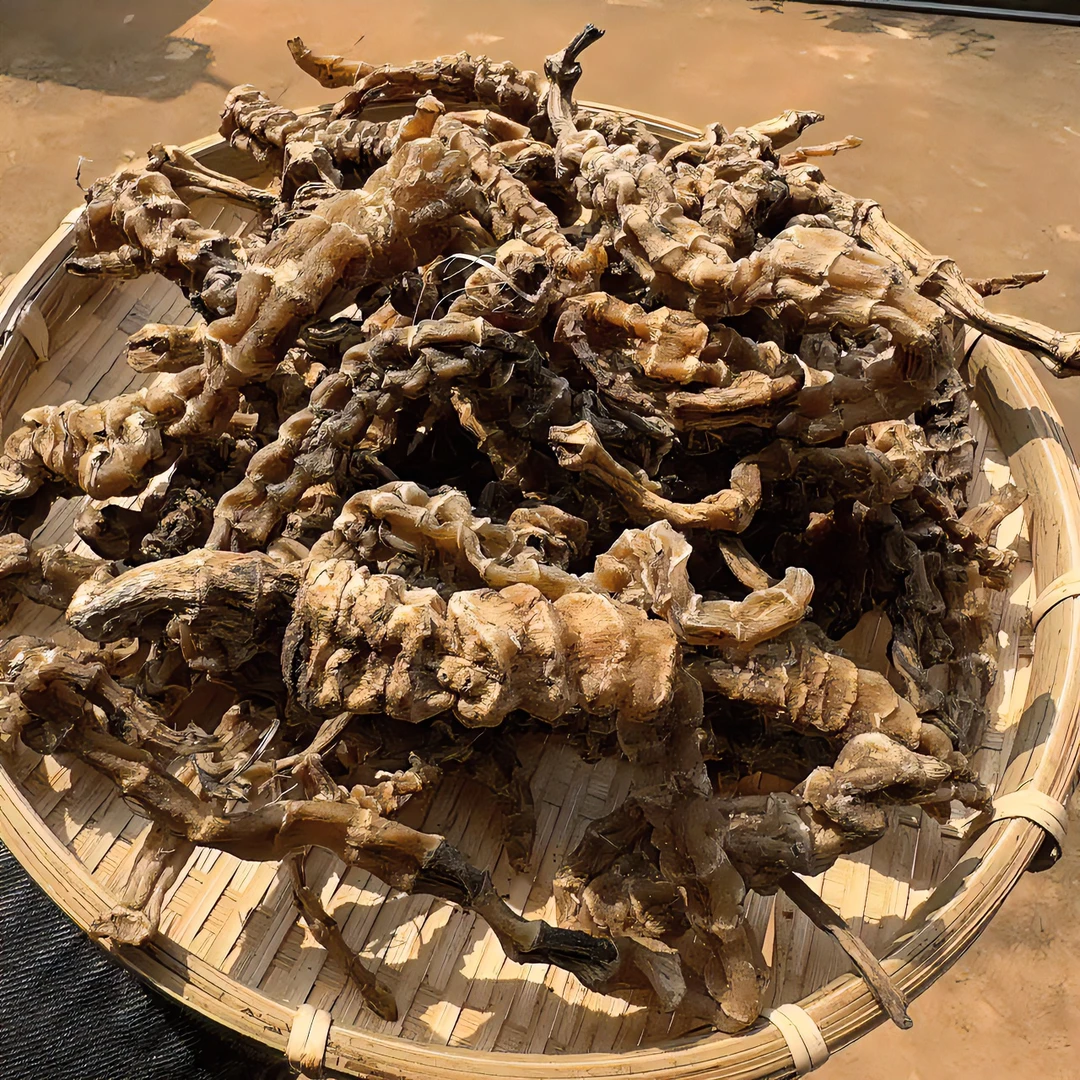 云南现收山货 虫草参 500克  非西洋参AA2