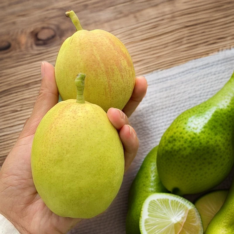 【福利款】顺丰包邮库尔勒香梨新鲜脆甜皮薄多汁现采现发当季水果