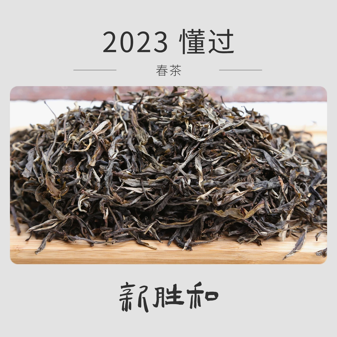 【懂过2023古树 】春茶（生茶）普洱茶 长期存 临沧散茶 新胜和
