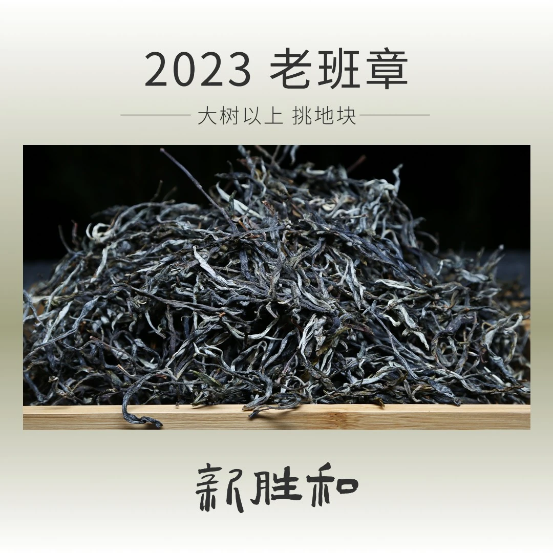 【 2023 老班章 】大树以上挑地块 春茶 散茶（生茶）普洱茶 新胜和