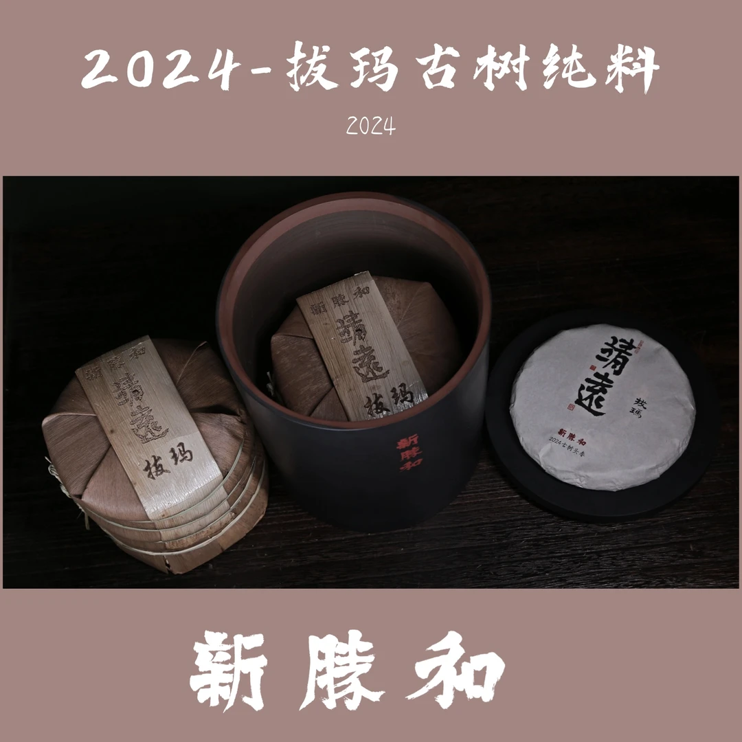 【 2024拔玛 】古树纯料 春茶（生茶）200g/饼 普洱茶新胜和