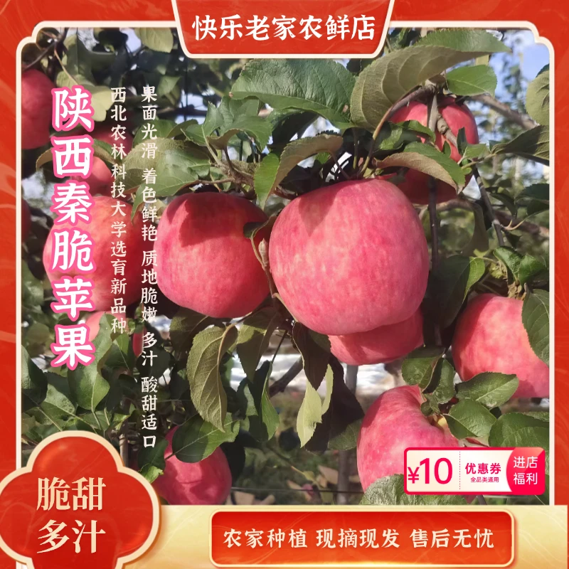 陕西正宗当季秦脆苹果脆甜清爽果香十足直播价格整箱净重8.5斤