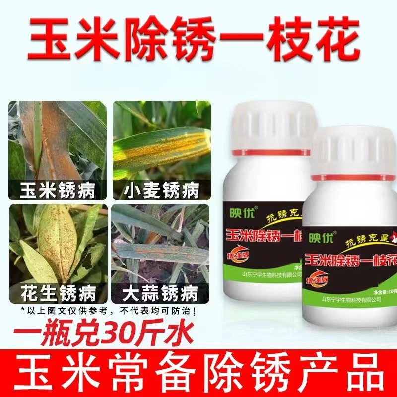 玉米锈病克星玉米专用抗锈产品一喷一施后顾无忧增效预防防治