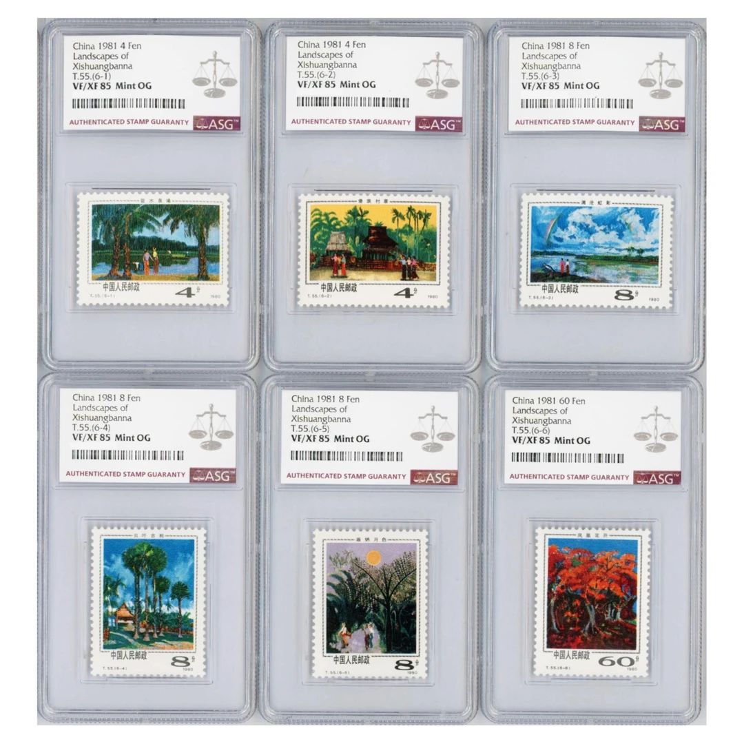T55西双版纳风光 ASG85分 JT邮票