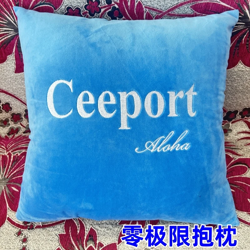 老师推荐零极限清理抱枕靠枕清理工具车枕ceepor同款