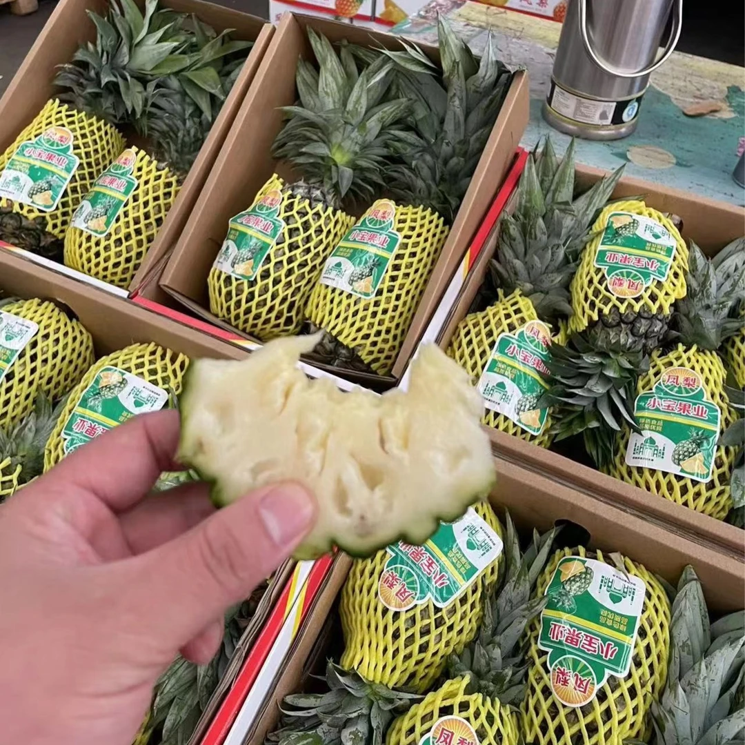 凤梨新鲜
