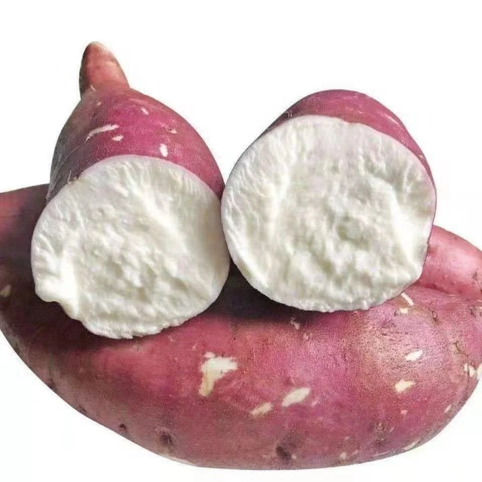 正宗河南白心红薯噎人粉面干口感5斤9斤小时候的味道地瓜干面白瓤