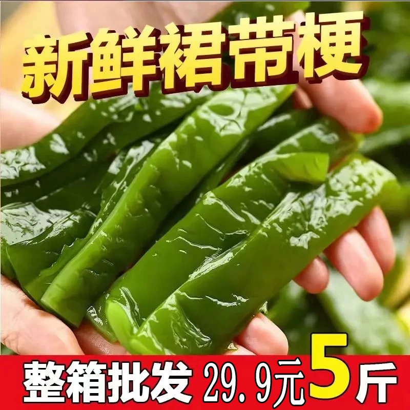【新鲜盐渍裙带菜梗】盐渍裙带梗大连海白菜火锅凉拌炒肉