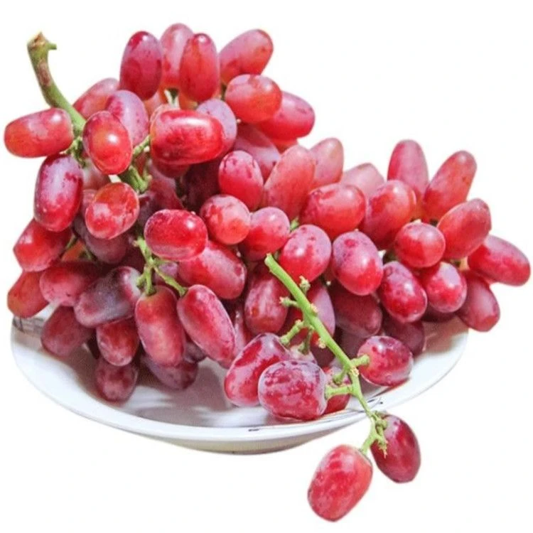 克伦森无籽红提 约2斤