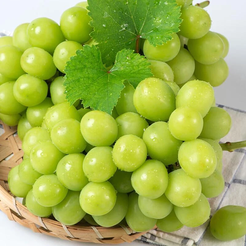 阳光玫瑰葡萄 约800g-850g/份