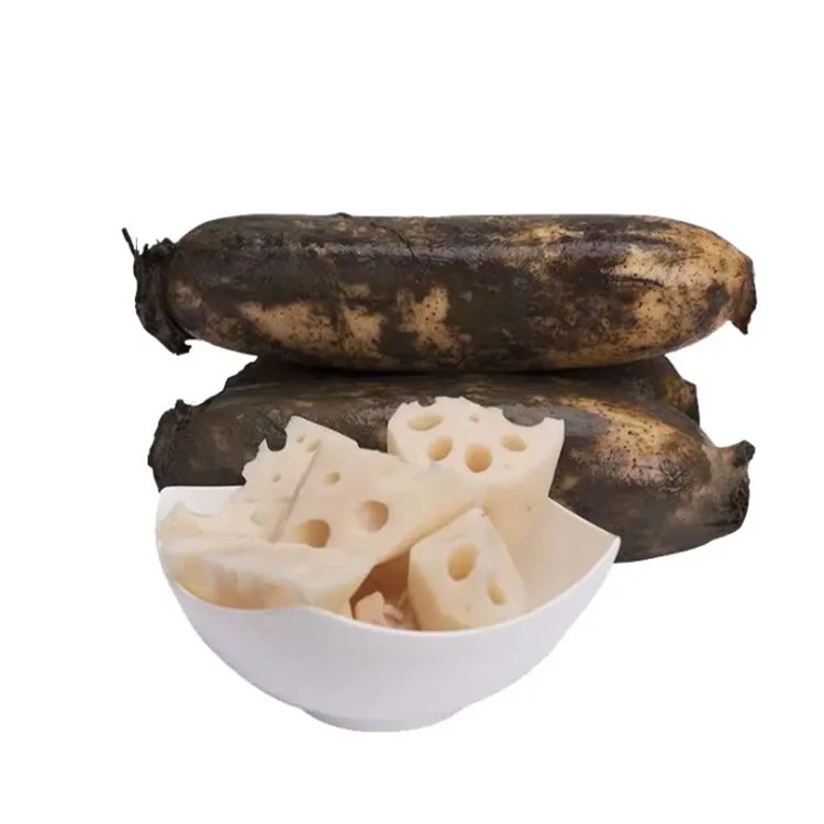 野藕 约480g-500g/份藕同城配送