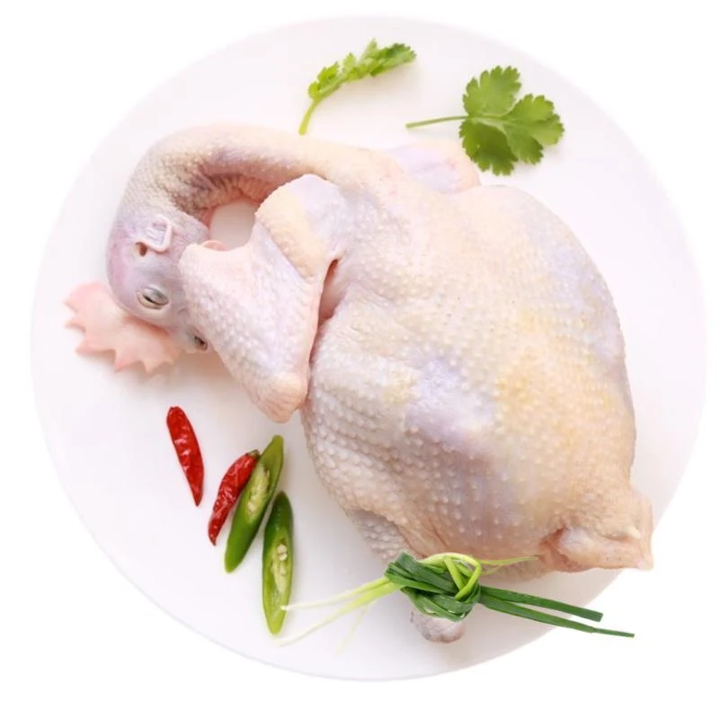 散养老母鸡 约1.5-1.6kg/只（默认剁块，不剁请备注）