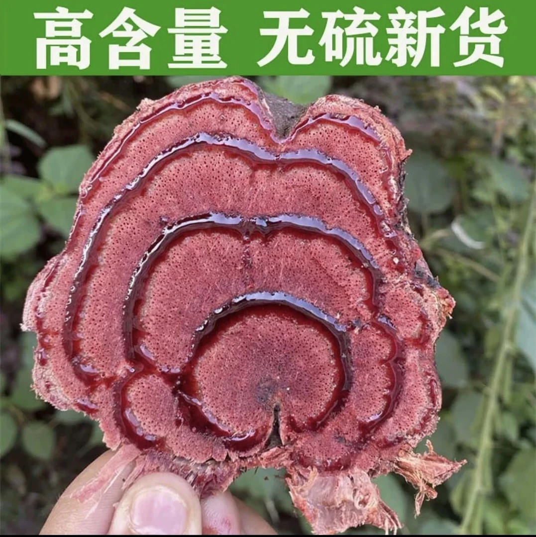 ［红藤］云南本地深山采挖无硫手工切片500g