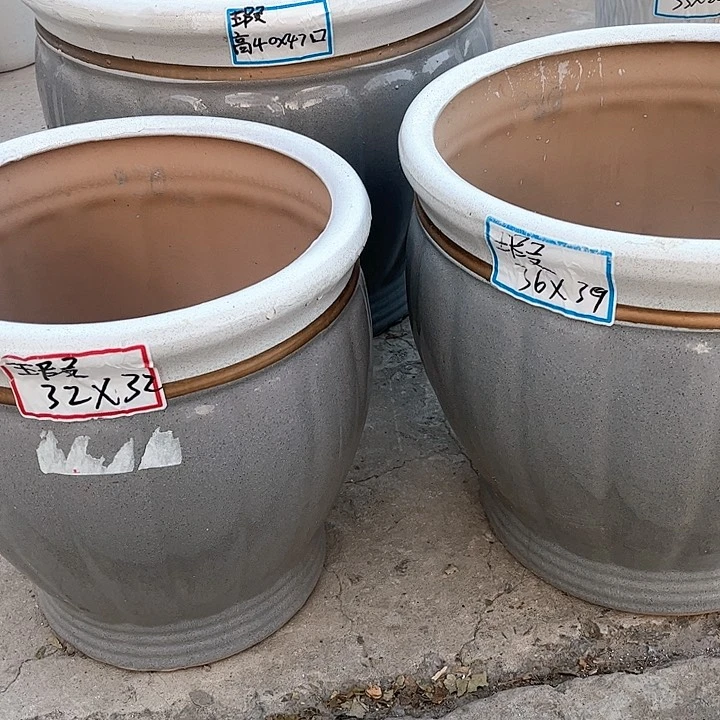 红陶20CM（含）-50CM（不含）